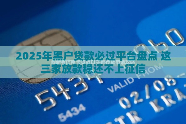 2025年黑户贷款必过平台盘点 这三家放款稳还不上征信