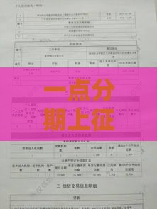 一点分期上征信吗？我亲自查了征信报告，结果让人意外…