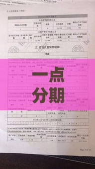 一点分期上征信吗？我亲自查了征信报告，结果让人意外…