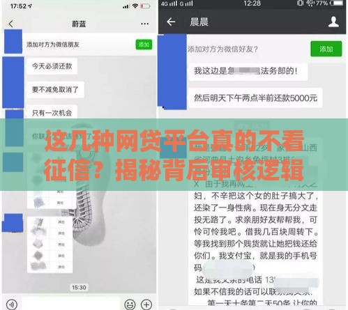 这几种网贷平台真的不看征信？揭秘背后审核逻辑