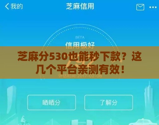芝麻分530也能秒下款？这几个平台亲测有效！
