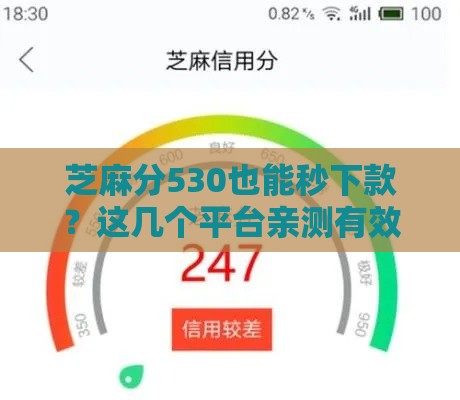 芝麻分530也能秒下款？这几个平台亲测有效！