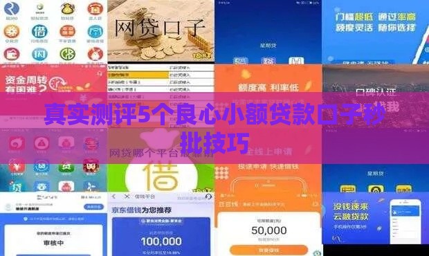 真实测评5个良心小额贷款口子秒批技巧