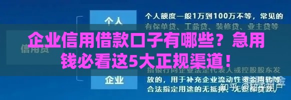 企业信用借款口子有哪些？急用钱必看这5大正规渠道！