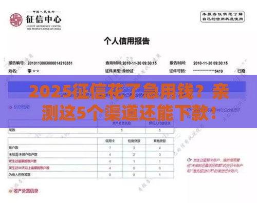 2025征信花了急用钱？亲测这5个渠道还能下款！