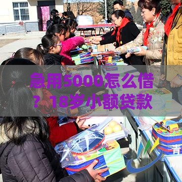急用5000怎么借？18岁小额贷款攻略来啦！