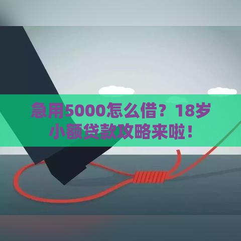急用5000怎么借？18岁小额贷款攻略来啦！