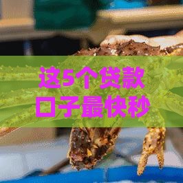 这5个贷款口子最快秒到账 申请流程全解析