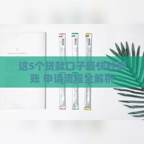 这5个贷款口子最快秒到账 申请流程全解析