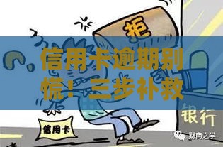 信用卡逾期别慌！三步补救攻略避免征信受损