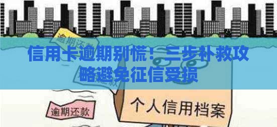 信用卡逾期别慌！三步补救攻略避免征信受损