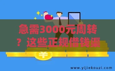 急需3000元周转？这些正规借钱渠道帮你应急不踩坑