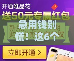 急用钱别慌！这6个靠谱分期口子，轻松缓解压力