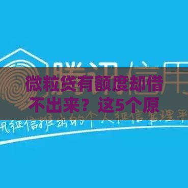 微粒贷有额度却借不出来？这5个原因帮你精准排查！