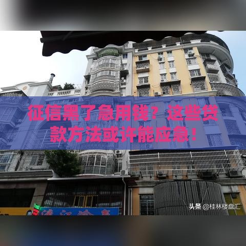 征信黑了急用钱？这些贷款方法或许能应急！