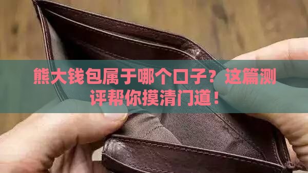 熊大钱包属于哪个口子？这篇测评帮你摸清门道！