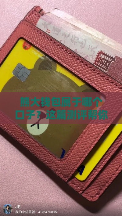 熊大钱包属于哪个口子？这篇测评帮你摸清门道！