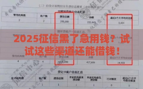 2025征信黑了急用钱？试试这些渠道还能借钱！