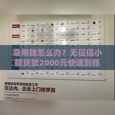 急用钱怎么办？无征信小额贷款2000元快速到账攻略（附详细流程）