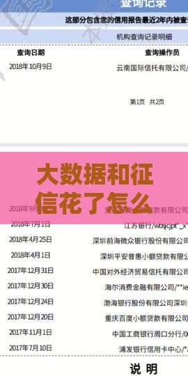 大数据和征信花了怎么办？别慌！3招教你轻松搞定贷款难题