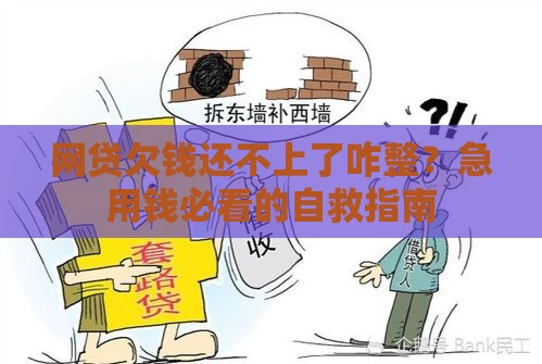 网贷欠钱还不上了咋整？急用钱必看的自救指南