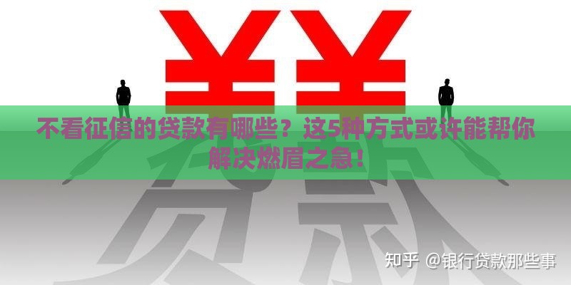 不看征信的贷款有哪些？这5种方式或许能帮你解决燃眉之急！