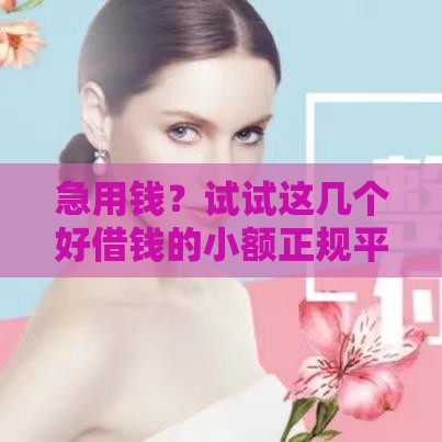 急用钱？试试这几个好借钱的小额正规平台！低息+快速到账超省心