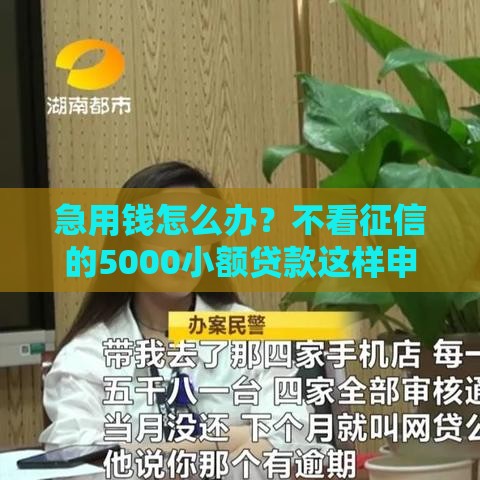 急用钱怎么办？不看征信的5000小额贷款这样申请最靠谱！