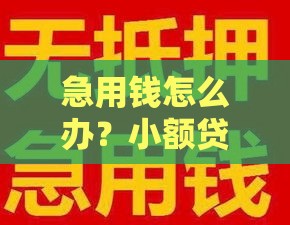 急用钱怎么办？小额贷款快速到账，低息安全又省心！