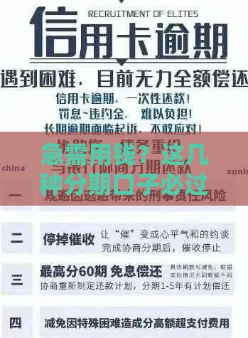 急需用钱？这几种分期口子必过！申请技巧全解析