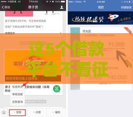 这5个借款平台不看征信也能下款