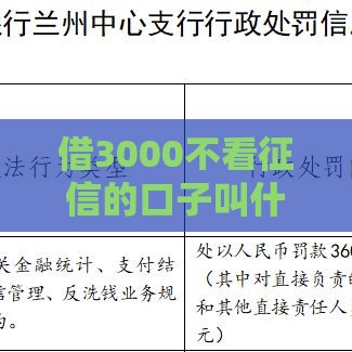 借3000不看征信的口子叫什么？真实经验分享