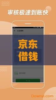 京东借钱靠谱吗？这3个官方借款口子最快5分钟到账