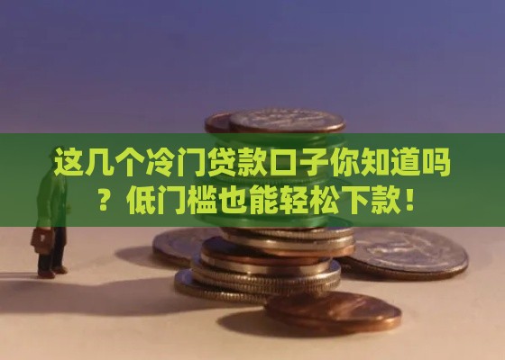 这几个冷门贷款口子你知道吗？低门槛也能轻松下款！