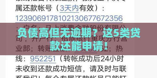 负债高但无逾期？这5类贷款还能申请！