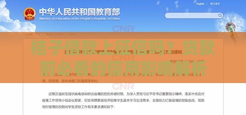 桔子借款上征信吗？贷款前必看的信用影响解析