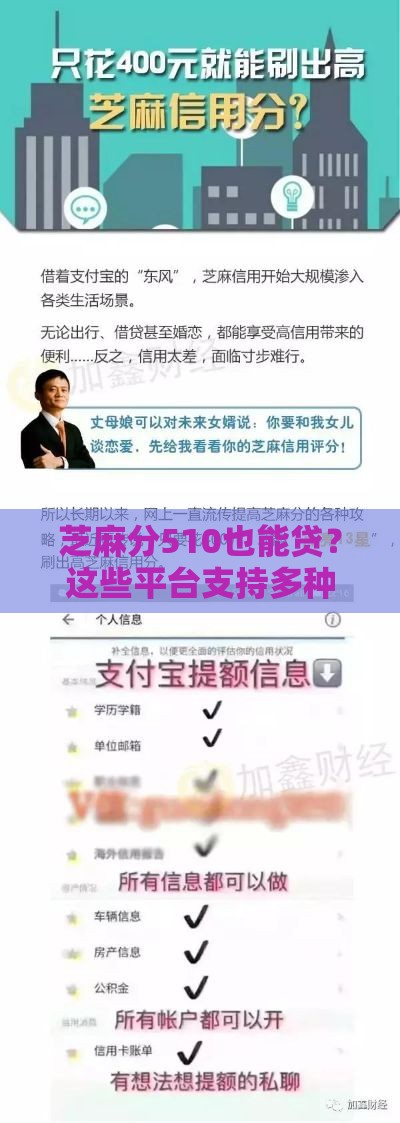 芝麻分510也能贷？这些平台支持多种贷款类型