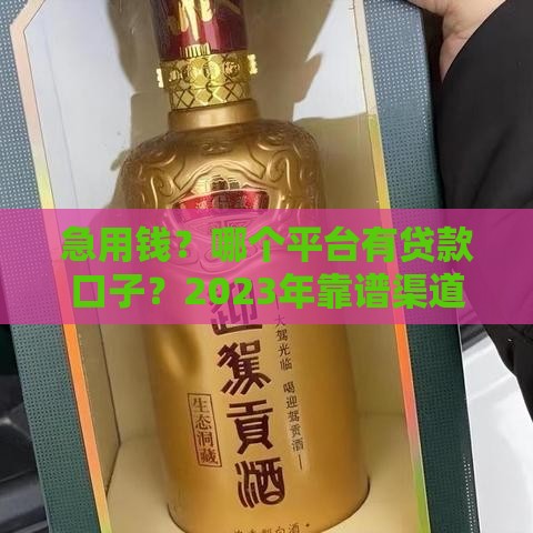 急用钱？哪个平台有贷款口子？2023年靠谱渠道盘点