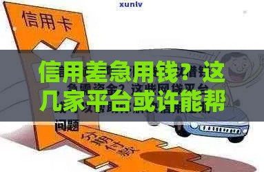 信用差急用钱？这几家平台或许能帮你解决难题