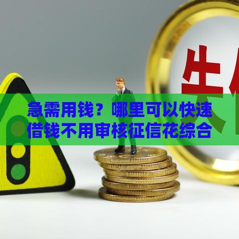 急需用钱？哪里可以快速借钱不用审核征信花综合评分不足？试试这些合法渠道！