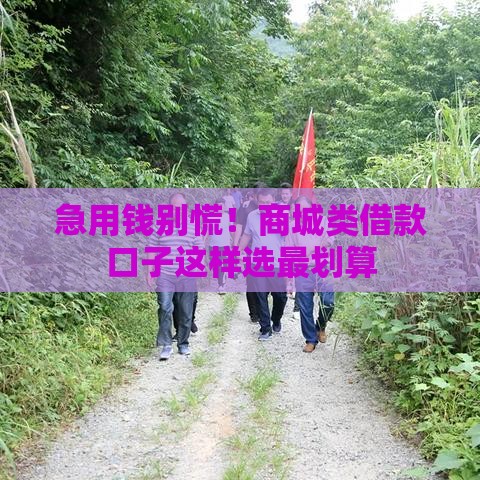 急用钱别慌！商城类借款口子这样选最划算