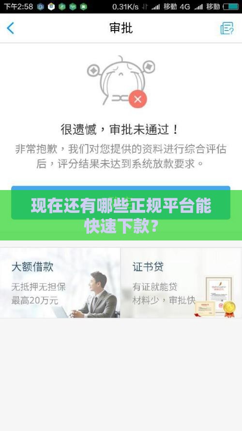 现在还有哪些正规平台能快速下款？
