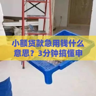 小额贷款急用钱什么意思？3分钟搞懂申请流程和避坑技巧！