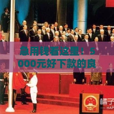 急用钱看这里！5000元好下款的良心口子推荐，审核快门槛低