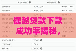 捷越贷款下款成功率揭秘，这些细节决定审批结果！