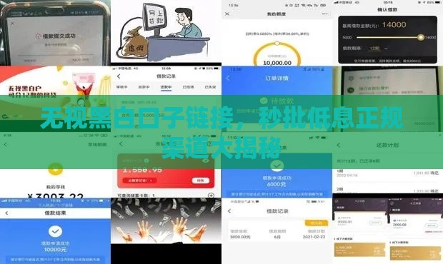 无视黑白口子链接，秒批低息正规渠道大揭秘