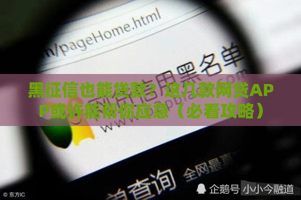黑征信也能贷款？这几款网贷APP或许能帮你应急（必看攻略）