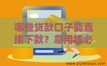 哪些贷款口子能直接下款？急用钱必看这5个秒批渠道