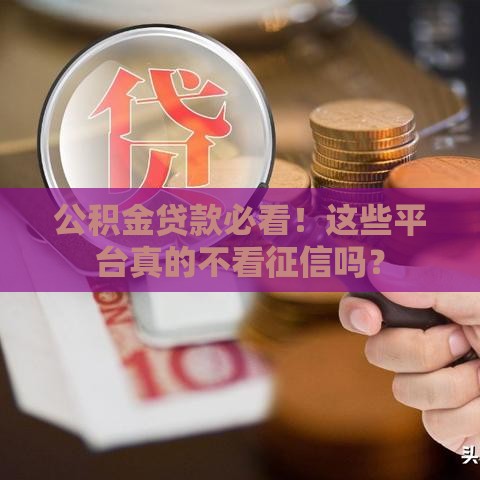 公积金贷款必看！这些平台真的不看征信吗？
