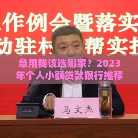急用钱该选哪家？2023年个人小额贷款银行推荐指南